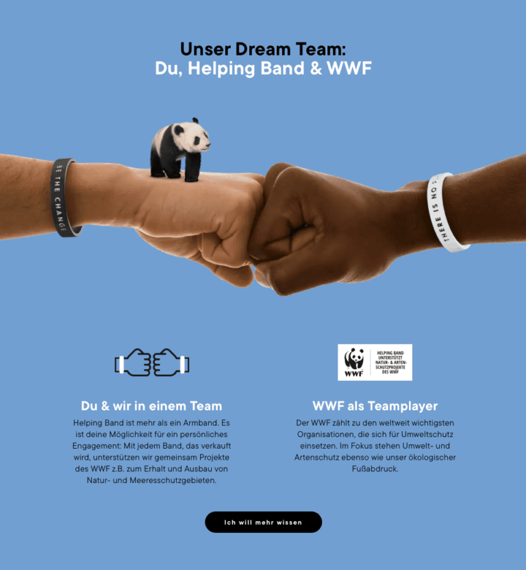 JungundWild-casestudies-helpingband21